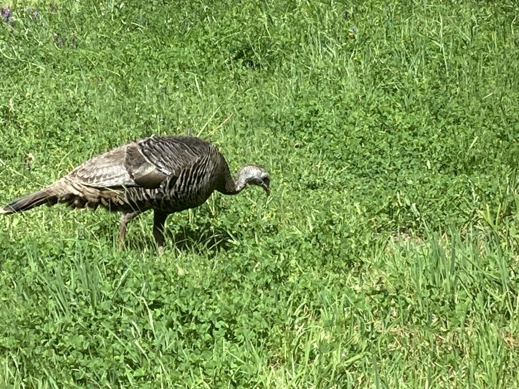 Featured image for “Join The SMMHOA Board!”